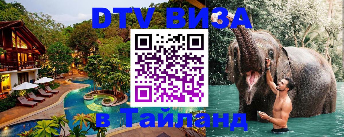 Оформление DTV визы под ключ: стоимость и тарифы, только загранпаспорт - Архангельск  20.11.2025 